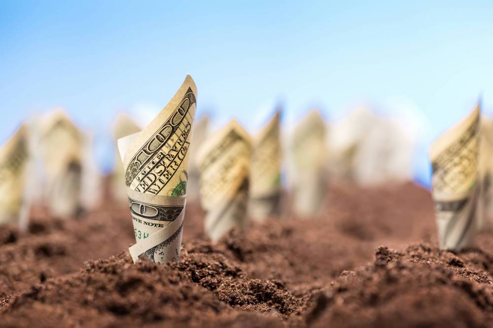 American,Dollars,Grow,From,The,Ground